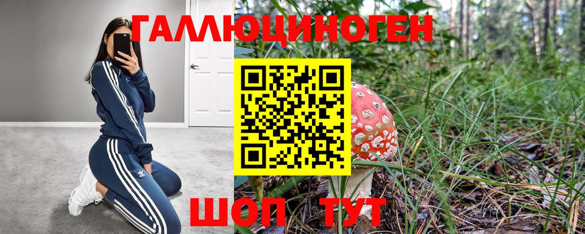Псилоцибиновые грибы Magic Shrooms  Вход с VPN  Свободный 