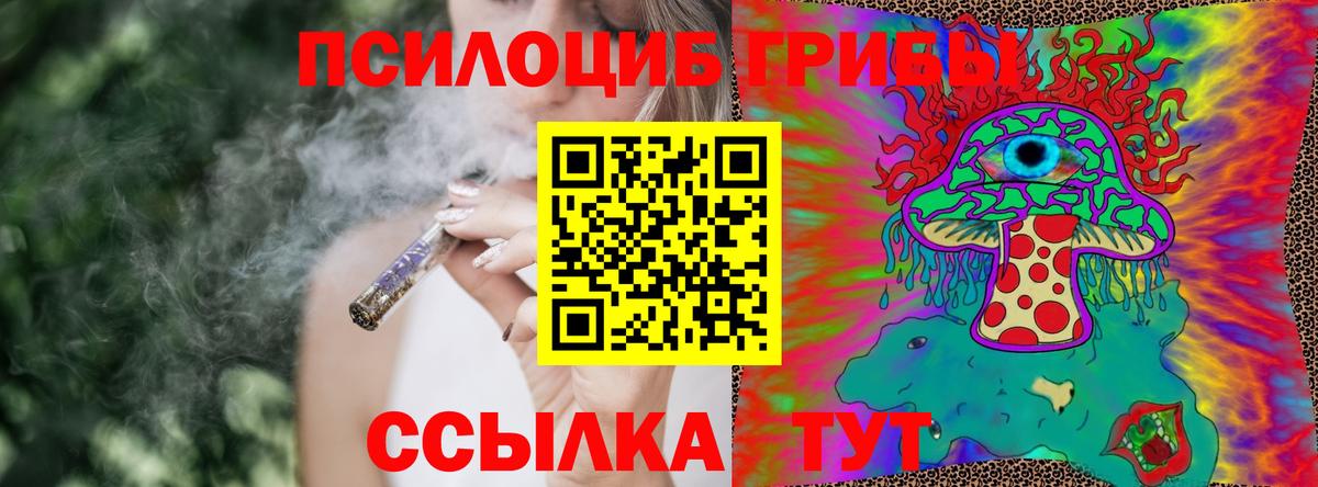 Галлюциногенные грибы прущие грибы Свободный